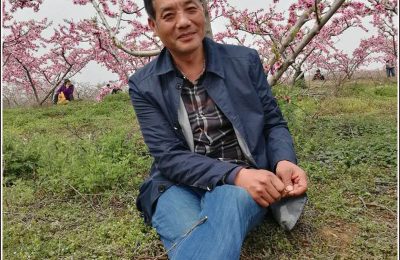 朱华杰