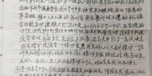 我们若记着，他们便活着 ——宜城茅草村“杨三爷”救治中原突围受伤战士二三事